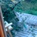 突然の大雨→『大型犬がいないな』と思い探した結果、お庭にいて…まさかの光景と『攻防戦』が614万再生「子供みたいｗ」「鬱陶しそうで草」