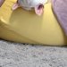 植木を噛みちぎった犬を叱った結果→『反省しているかな』と様子を見ると…信じられない『まさかの態度』が38万再生「だるーって感じなの草」