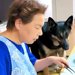 大型犬をおばあちゃんに預けた結果→こっそり覗くと、ふたりで『お昼ごはん』を…尊すぎる光景が51万再生「お行儀が良すぎて驚き」「孫みたい」