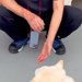 『かかりつけの獣医さん』に恋をしている犬→散歩中、遭遇出会った結果…尊すぎる『乙女な光景』が73万再生「恋心が溢れてる」「ルンルンｗ」