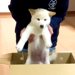 子どもに内緒で『赤ちゃん犬を飼った』結果…箱を開けた瞬間の『尊すぎるリアクション』が379万再生「静かな声で喜ぶの優しい」「愛が伝わる」