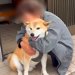 3年間、ご近所のおばあちゃん家に通い続けた犬たち…思わず泣けてくる『かけがえのない光景』が64万再生「まるで孫…心が暖かくなる」「素敵」