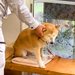 消防点検にやってきた業者のおじさん→犬が怖がってしまい…優しさ溢れる『可愛いやりとり』に反響「隠れられてないｗ」「業者さんも可愛いｗ」