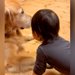 寝る時間になったら、赤ちゃんが大型犬に近づいて…あまりにも尊い『おやすみなさいの行動』が9万再生「素敵すぎる」「可愛い」と悶絶