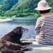 老犬介護のノウハウを知ろう。コツやおすすめグッズも