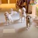 老人ホームで働くセラピー犬たちのお出迎え→昔は大歓迎してくれたのに…まさかの『現在の光景』に反響「どっちも最高ｗ」「可愛すぎる」