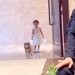 小さな女の子と犬が『新郎新婦に指輪を届けようとした』結果→扉が開いた瞬間に…まさかのハプニングが96万再生「可愛いが渋滞」「尊くて涙…」