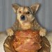 犬がベーコンを食べても大丈夫？