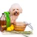 犬にお酢を与えても大丈夫？しつけに活用する方法やメリット、注意点