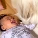 超大型犬が『初めて赤ちゃんに笑いかけてもらった』結果…『大好き』が溢れている行動が409万再生「母性愛」「相思相愛だね」現在の様子も
