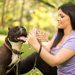 犬の口輪について　種類と付け方や注意点