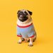 「犬服」に関連する記事まとめ