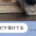 夏休みで家にいる娘からLINE→『大型犬が溶けてる』と写真が送られてきていて…『愛おしい一枚』に1万いいね「たぷたぷで草」「無防備ｗｗ」