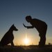 犬にしつけをしないで育てるとどうなるの？