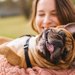 買って良かったおすすめの犬用品４つ！使い方から評価まで