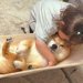 2歳の女の子が『バウンサーに乗った犬』を見た結果→まるで『赤ちゃん』のように…家族愛に溢れた光景が24万再生「素敵すぎる」「幸せ感じる」