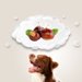 犬は栗を食べても大丈夫！与え方や注意点について解説