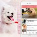【わんちゃんホンポ公式アプリ】犬と飼い主のココロを繋げる情報を毎日お届け！