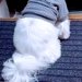 歯医者に行くため『おばあちゃんに犬を預けた』結果→様子が送られてきて…今すぐ帰りたくなる『玄関の光景』に感動「涙でる」「ほんと可愛い」