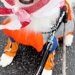 雨の日、カッパを着せても大型犬の頭が濡れてるので『ビニール袋を被せた』結果…あまりにも似合っている光景に反響「めちゃ可愛い」「癒やさる」