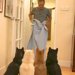 『お父さんが突然消えてしまうドッキリ』を4匹の犬に見せた結果→あまりにも純粋な『100点の反応』が422万再生「かわいすぎて心溶けた」