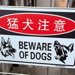 『猛犬注意の看板』があったので、覗いた結果→下の方を見ると…思っていたのと違う光景に爆笑の声「かわいすぎる猛犬ｗ」「笑いましたｗｗ」
