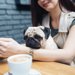 大阪でおすすめの犬カフェ8選！癒やしを求めて同伴OKの所など