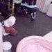 1分間だけ『17歳のおばあちゃん犬』から目を離した結果→洗い物を終え、部屋に戻ってみると…まさかの光景が75万再生「愛おしい」「大冒険だ」