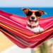 おすすめの犬用ハンモック6選！これで愛犬もリゾート気分？