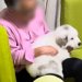 超大型の子犬を『膝の上に乗せて育てた』結果→数年後…自分の大きさ全く理解していない光景が28万再生「そのまま巨大化ｗ」「永遠の甘えん坊」