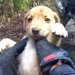 男性がバイクで林を走行中『捨てられた子犬』を発見…衝撃の出会いと『まさかの展開』が838万再生「カッコよすぎ」「救ってくれてありがとう」