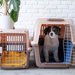 犬用のおしゃれで激安なケージおすすめ10選！種類や選び方も解説