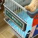 カインズで『ペット専用カート』があったので、犬を乗せた結果…まさかの『カッコよすぎる光景』に1万いいね「イケイケで草」「高級車に見える」