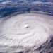 台風が怖い！犬がパニックになったときの行動と対処法