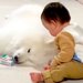 赤ちゃんが大型犬の近くで遊んでいたら、突然『睡魔』に襲われてしまい…尊すぎる『まさかの電池切れ』が52万再生「むり…可愛い」「愛おしい」