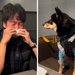 『犬の絵本』を読んで大号泣する夫→隣に座っていた犬が…悶絶必至の『尊すぎる光景』が360万再生「どうしたの？って顔が愛おしい」「素敵」