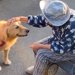 散歩中に『おばあちゃん』と久しぶりに会った大型犬→ふたりでお話をして…思わず涙が出る『心温まる光景』が38万再生「なんて尊いの…」と感動