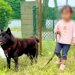 2歳の女の子に『犬のリードを持たせてみた』結果…予想外だった『まさかの行動』が56万再生「状況判断ができて凄い」「力を見極めてる」