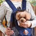犬用リュックのキャリーバッグを活用しよう！今人気のわんこを背負える便利用品