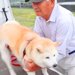 おじいちゃんが『犬と一緒に花植えに行った』結果…思った以上にはしゃぐ光景が幸せ過ぎると47万再生「そっちがはしゃぐんかいｗ」と絶賛