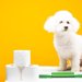犬用トイレトレーのおすすめをご紹介！必要性や使用するメリット