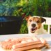 犬にソーセージを与えても大丈夫？人間用・魚肉に含まれる成分とNGな理由、おすすめ商品まで解説