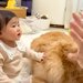 0歳の赤ちゃんに『バイバイ』を教えていたら、犬たちが『お別れ』と勘違いして…態度が豹変する光景が45万再生「愛強すぎｗ」「感受性すごい」