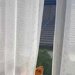 隣の部屋から『クゥーン』と聞こえたので見に行った結果→窓の外で、犬が…思わず抱きしめたくなる光景に反響「早く入っておいで」「おぼちゃま犬」