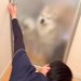 息子が帰宅後、ドアを開けると『3匹の大型犬』が大喜びして…はちゃめちゃな『おかえりなさいのご挨拶』が70万再生「幸せすぎる空間」「尊い」