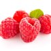 犬はラズベリーを食べても大丈夫？効能や与える時の注意点について解説