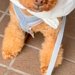 大雨の日、犬に着せるカッパがなかったので『即席で作った』結果…まるで給食当番？想像以上にお似合いな光景に反響「不満気ｗｗ」「可愛すぎ」