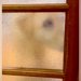 お風呂掃除が終わり、部屋に戻ると『寝ていた盲目の犬』が…泣けるほど尊い『お出迎え』が55万再生「泣けてきた」「愛情たっぷりの笑顔」と絶賛