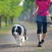 犬の散歩バッグおすすめ10選！ショルダータイプからウエストポーチまで
