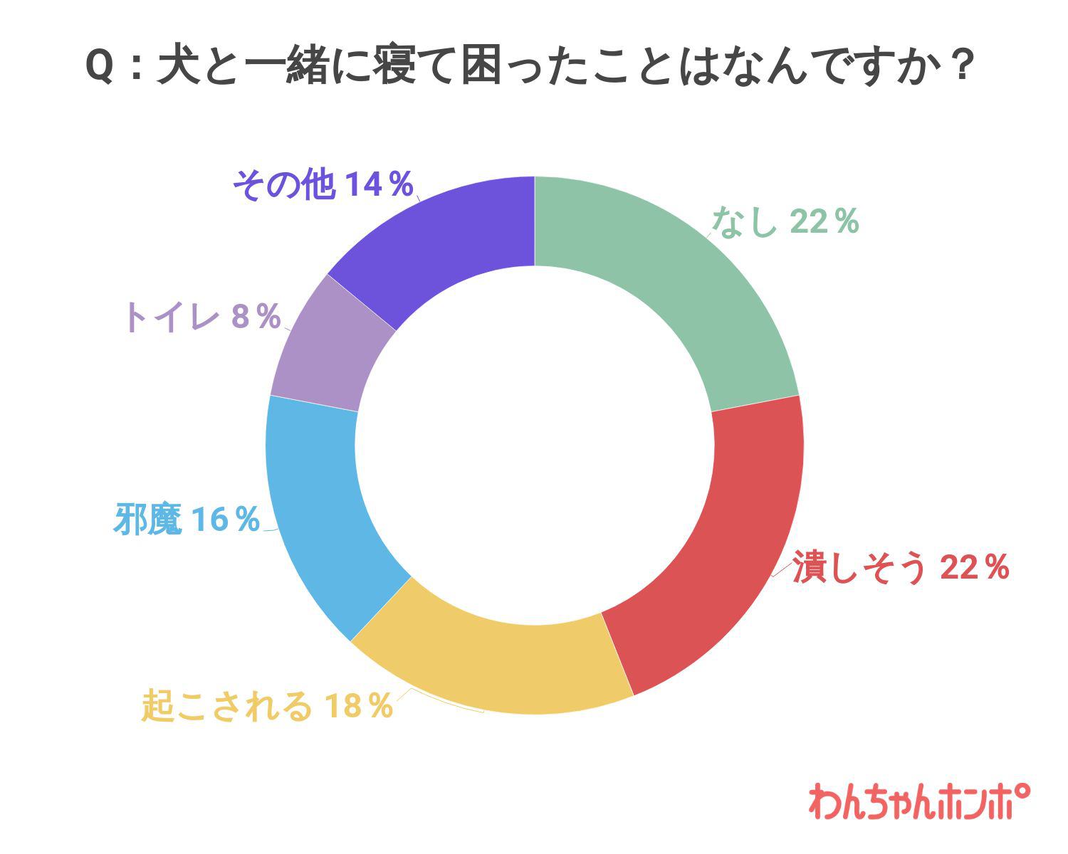 犬と一緒に寝て困ったことはなんですか？